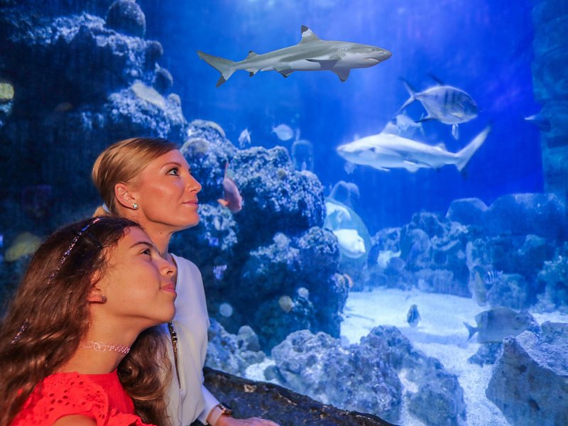 SEA LIFE Munich Admission Ticket