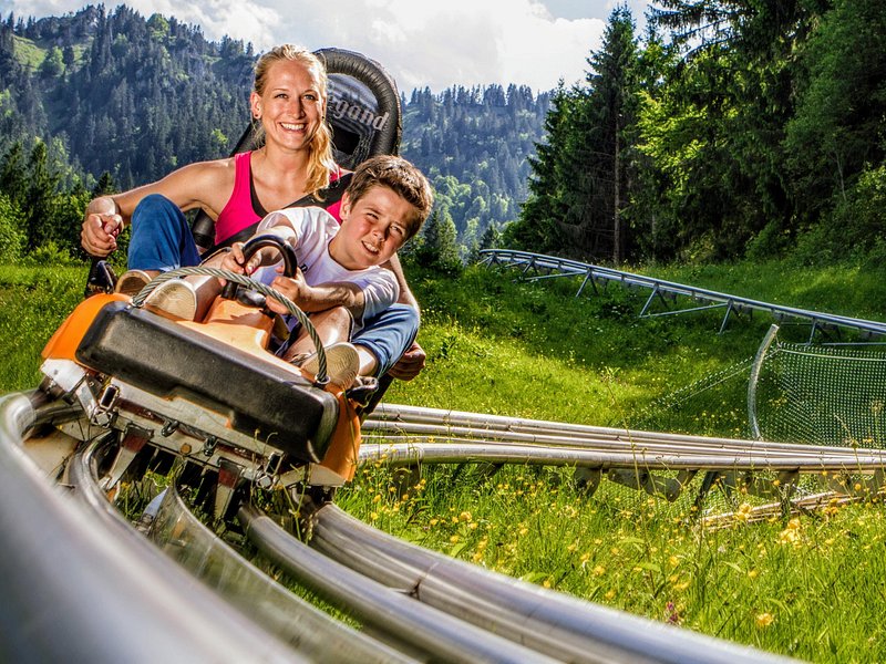 MY*GUiDE EXCLUSiVE Neuschwanstein Castle Tour INCL. TiCKETS and ALPiNE COASTER from Munich