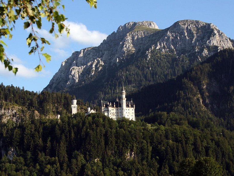 Half day tour private from Munich to Neuschwanstein Castle