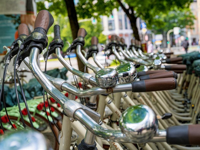 Munich Private City Bike Tour and English Garden