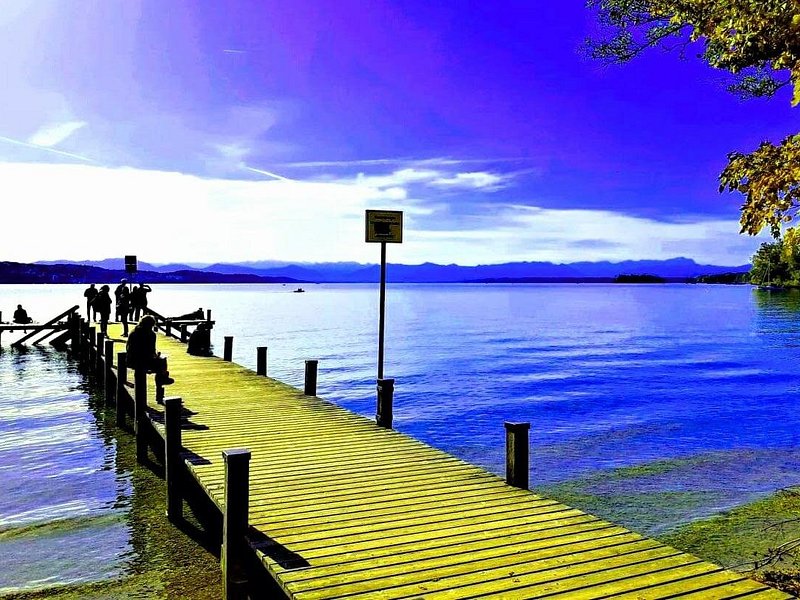 Comfort Mini-Van & Professional and FRiENDLY Guide: CUSTOMIZED 1-DAY TOUR from Munich