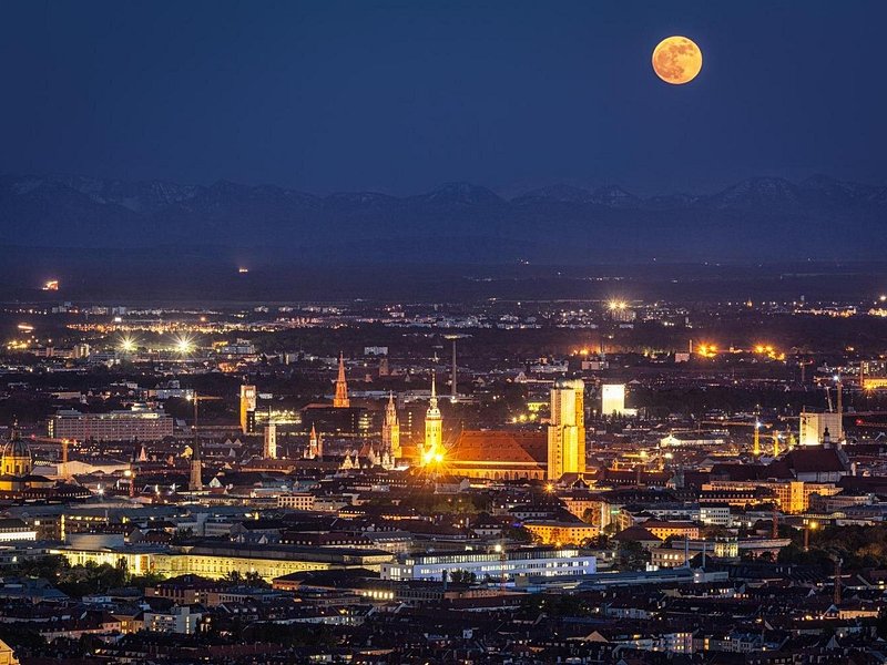 Discover Munich’s Christmas Market Magic with a Local