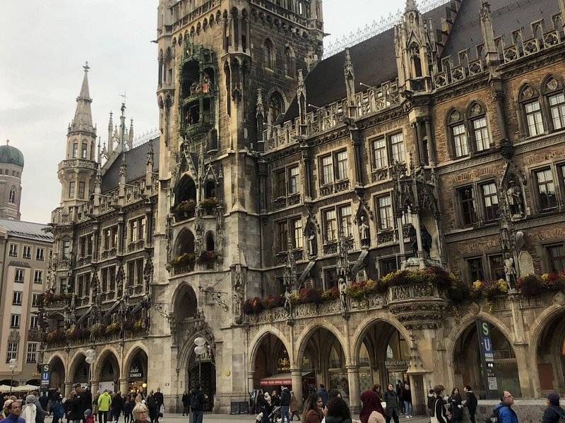 Discover the roots of Nazi Germany
