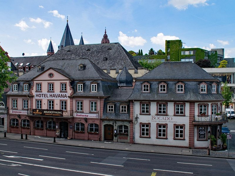 Private Direct Transfer From Munich to Mainz, English Speaking Driver