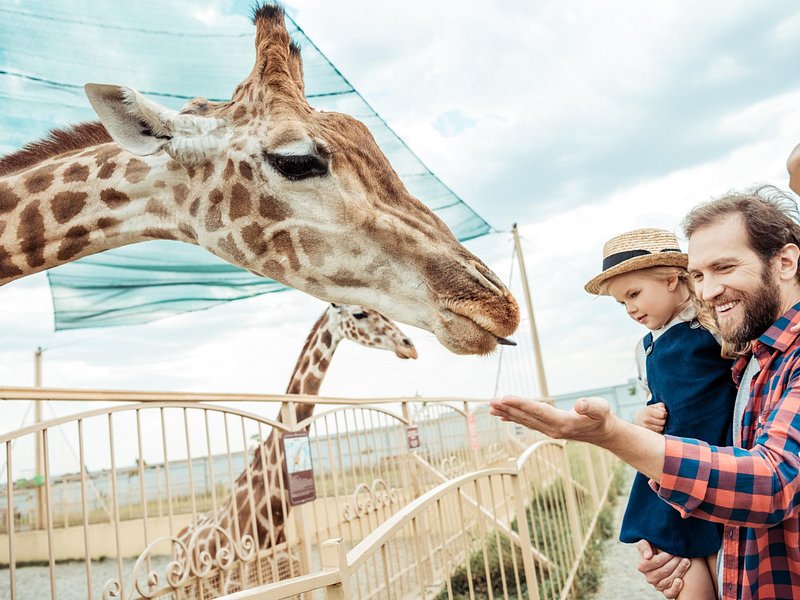 Skip-the-line Hellabrunn Zoo in Munich with Transfers